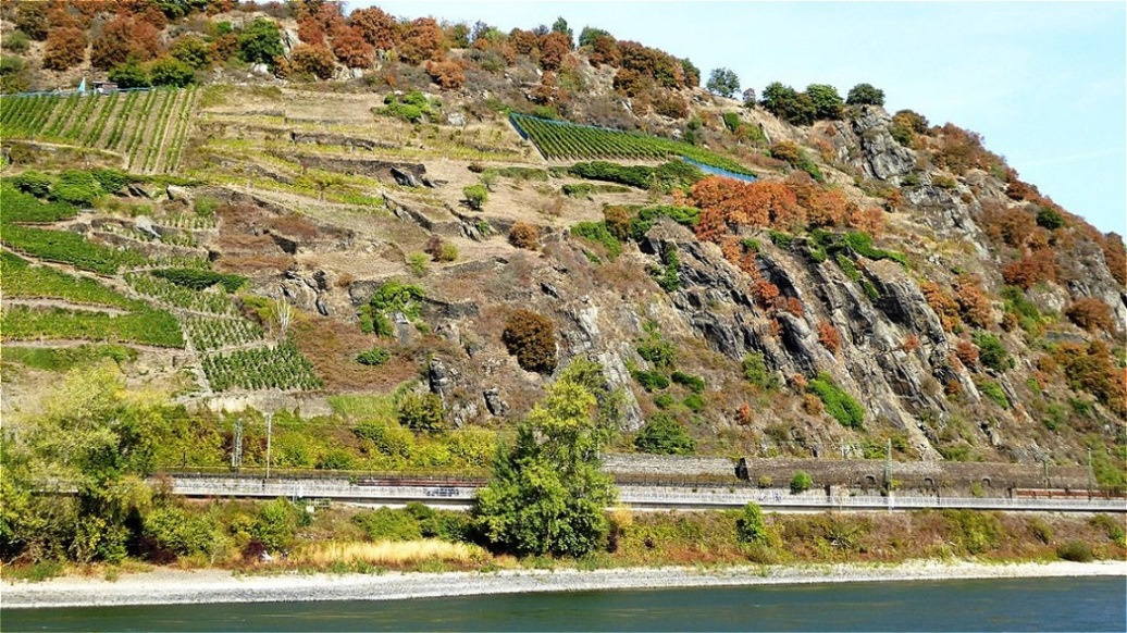 Weinbau an den steilen Südhängen - die Steillage und eine Lößlehmauflage auf Schieferuntergrund bietet beste Bedingungen für den Weinbau