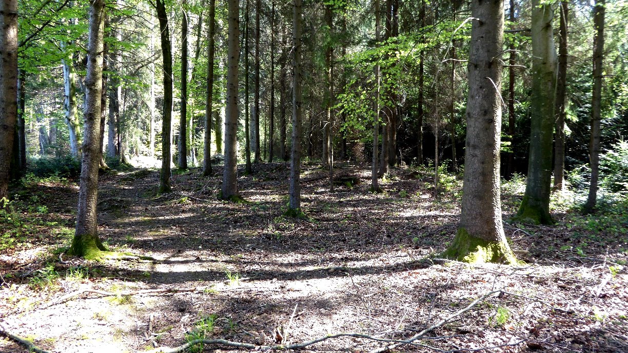 Tumulus 1 - Westansicht