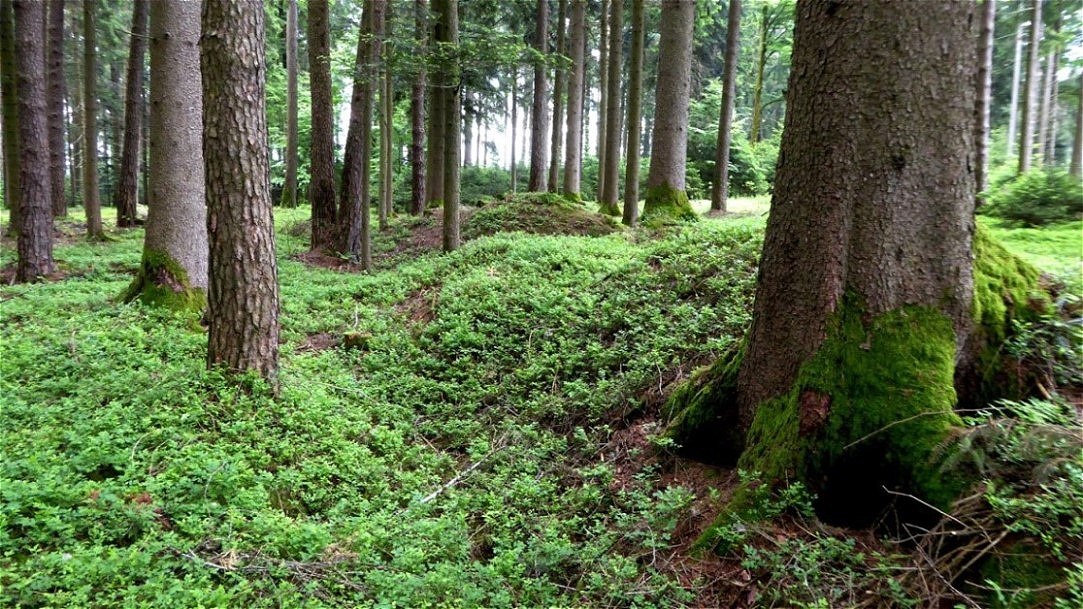 Hügelgräber - die Tumuli wurden in unregelmäßiger Reihenfolge, wahrscheinlich entlang eines ehemaligen Weges angelegt