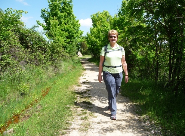 Weg durch Obst- und Weingärten