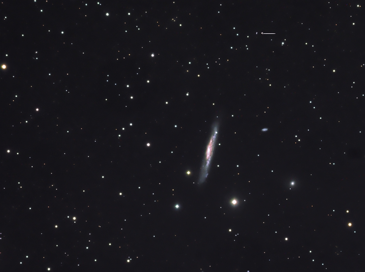 NGC3079 with marked quasar
04.2009 older SXV-H9