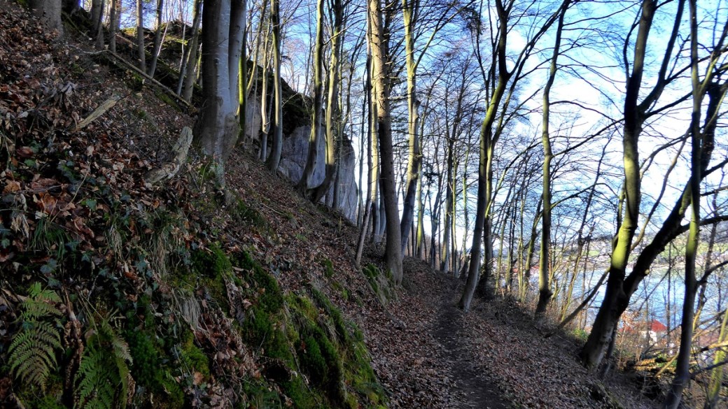 Weg zum Bergkamm