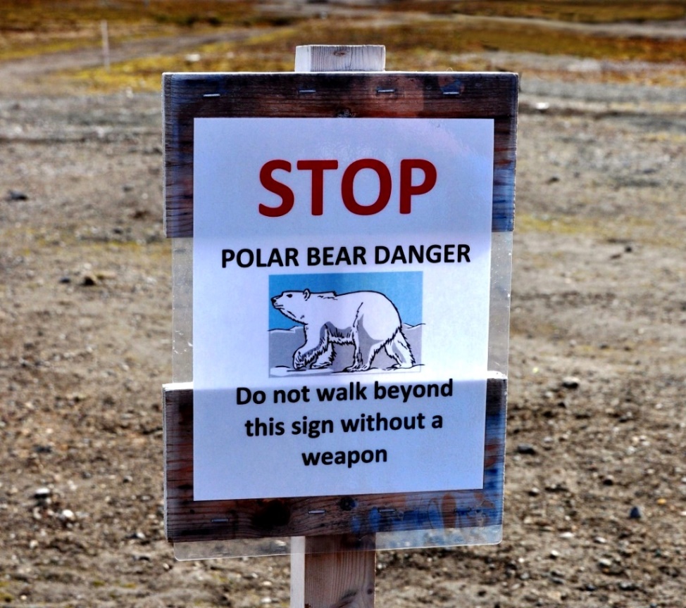 Eisbärengefahr !