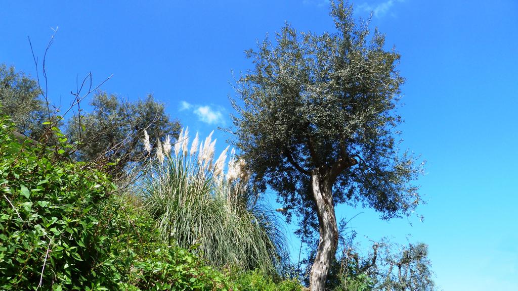 Abstieg im strahlendem Sonnenschein