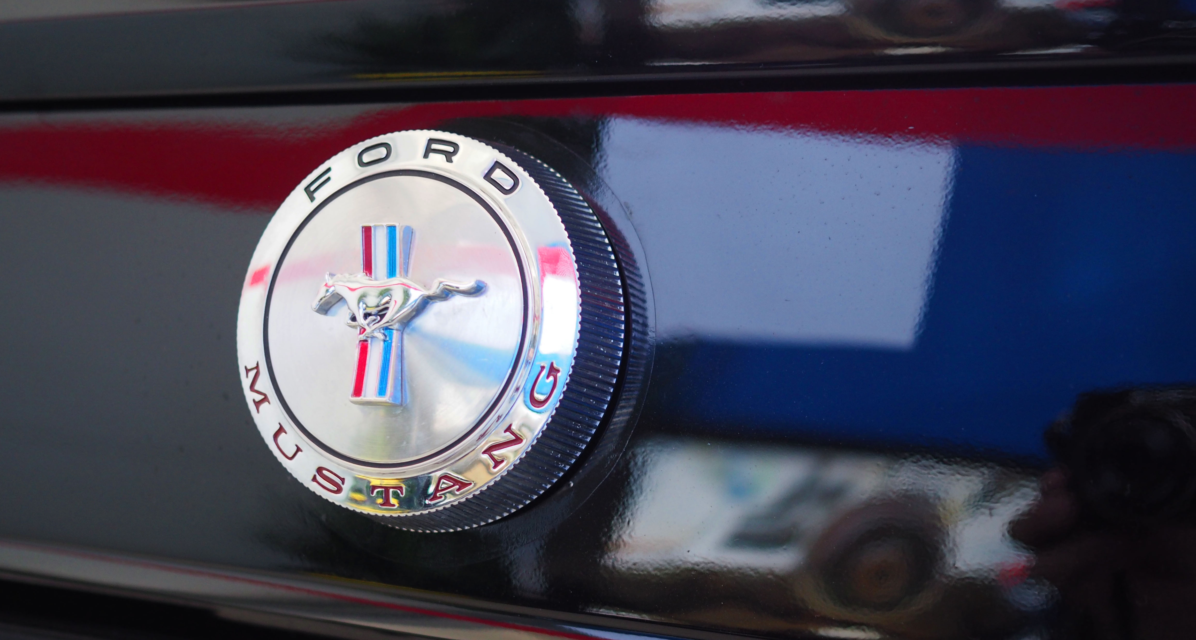 https://0501.nccdn.net/4_2/000/000/023/130/10-MUSTANG.jpg