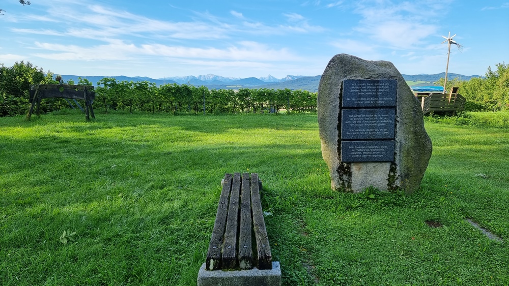 9. August 2021 - Weingartenpflege