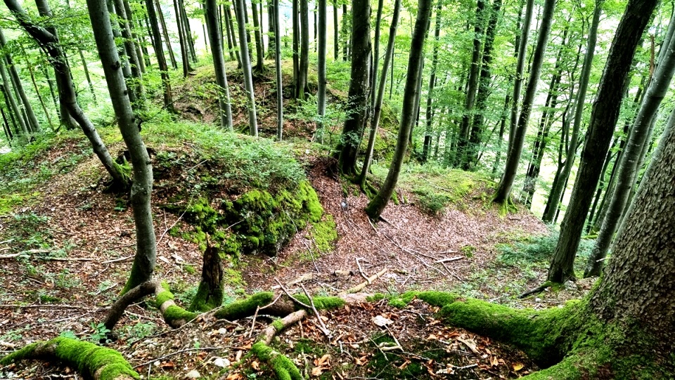 Auf dem höchsten Punkt