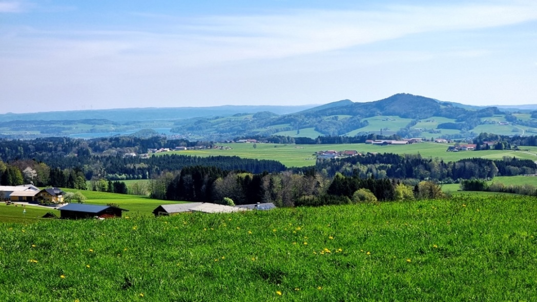 Ausblick nach Osten (Mattsee)