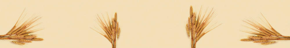 Kruh in klasje_ A 011