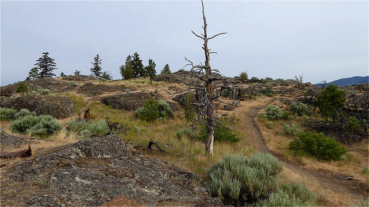 Ich steige einen felsigen Hügel hinauf