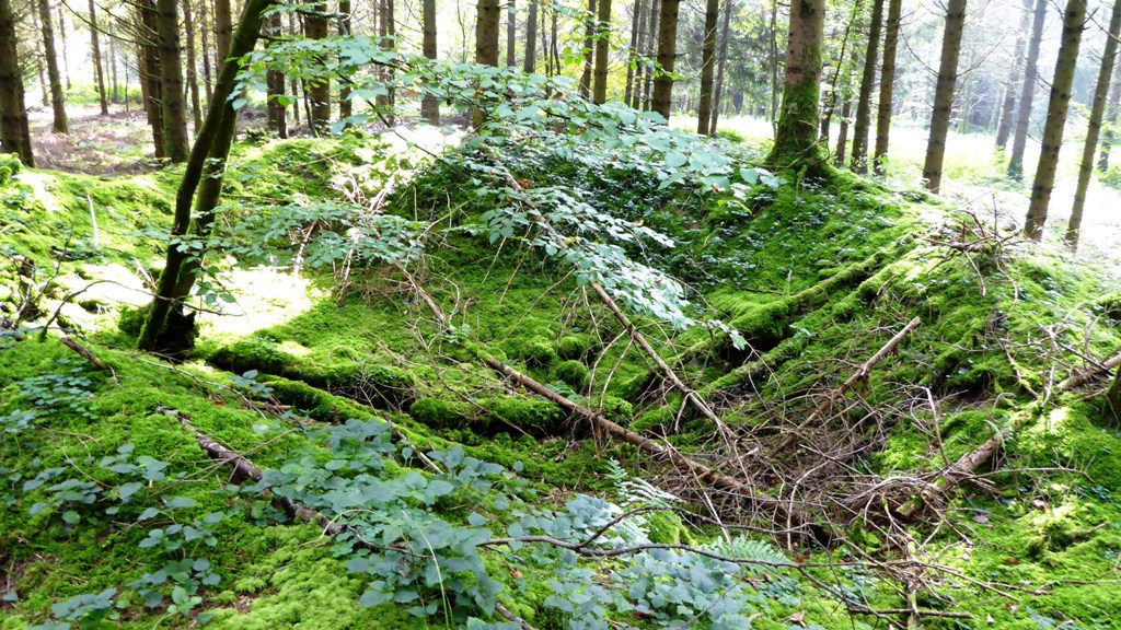 Großer, geöffneter Tumulus - nach Entnahme der Grabbeigaben nicht wieder hergestellt !