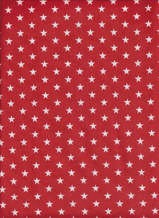 OZNAKA MODELA:  301