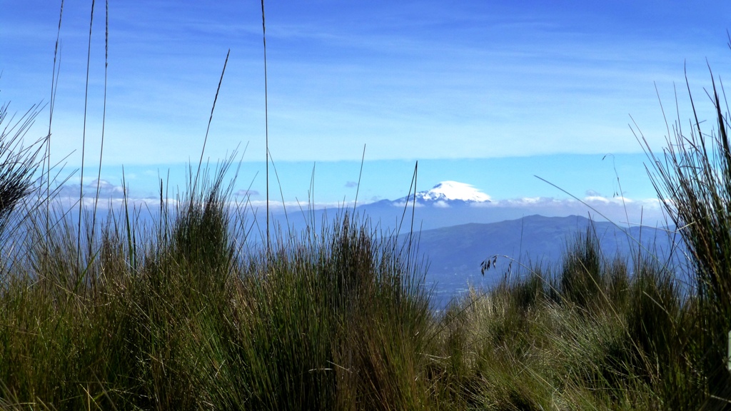 Antisana vom Aufstieg auf den Rucu Pichinch