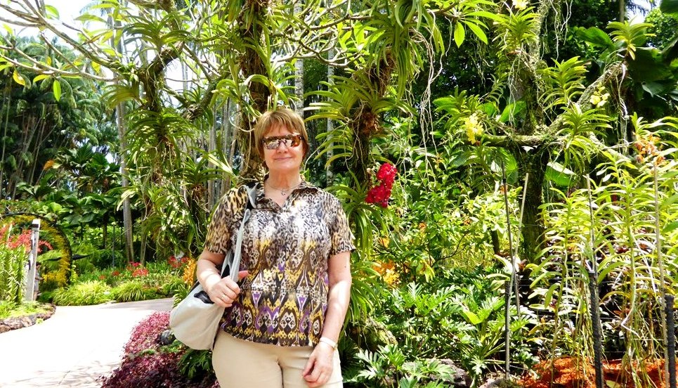 Die schönste Orchidee !