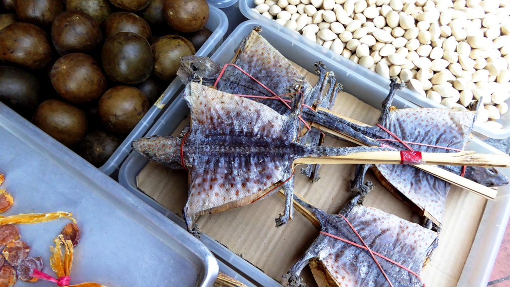 Getrocknete Eidechsen