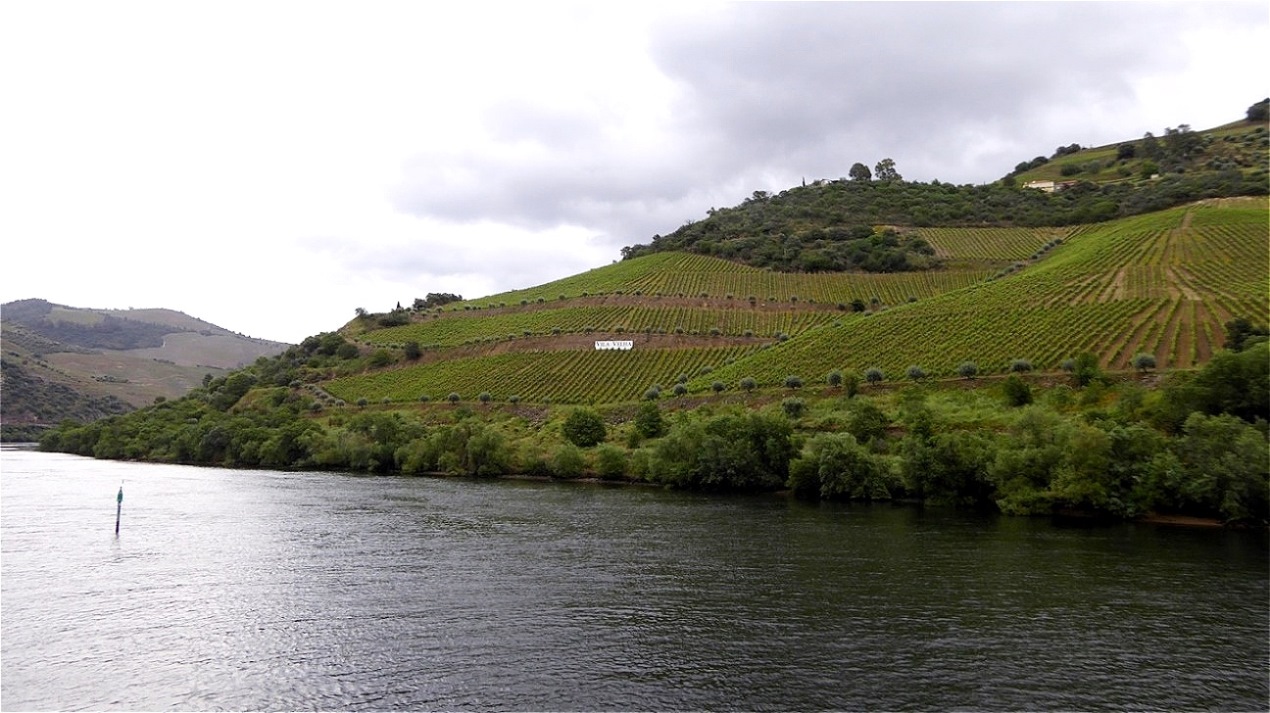 Weingärten bis zum Fluss herab