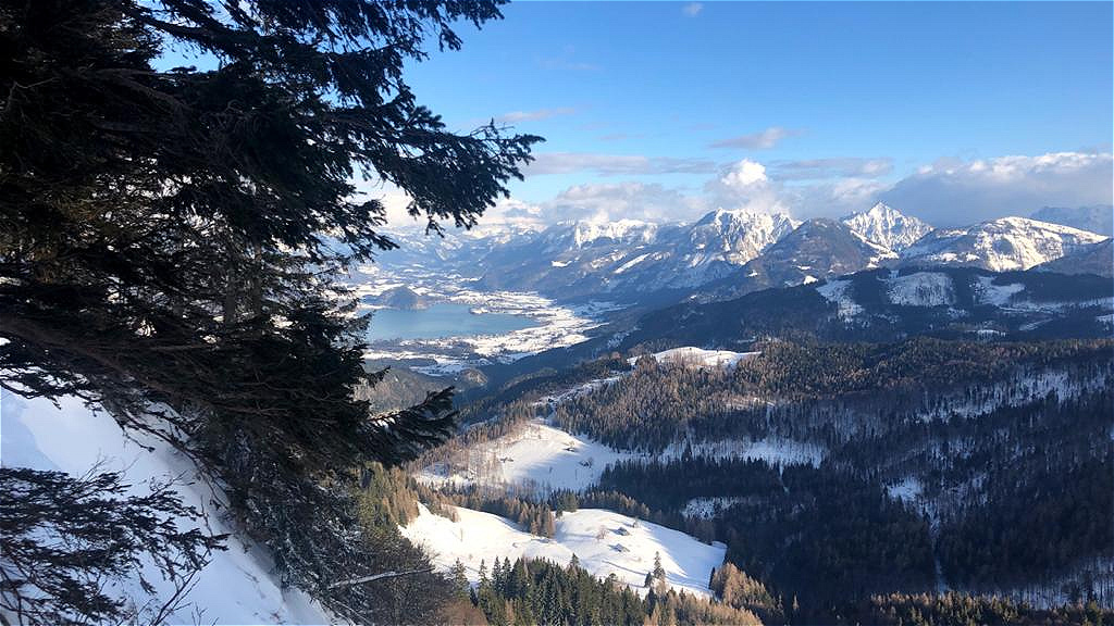 Zwölferhorn 28.02.2020