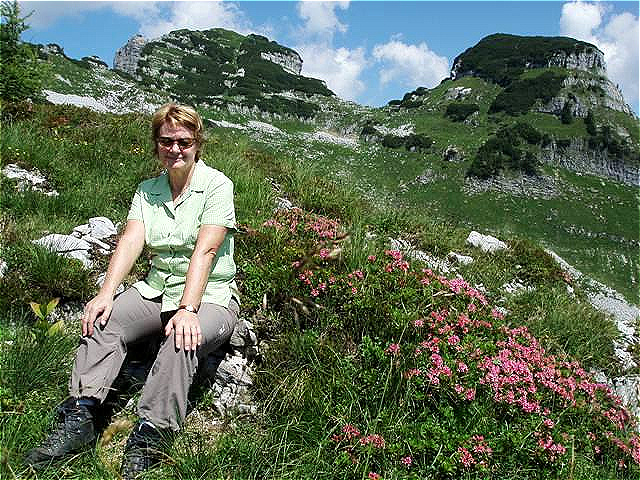 Alpenrosen-Sitzplatz