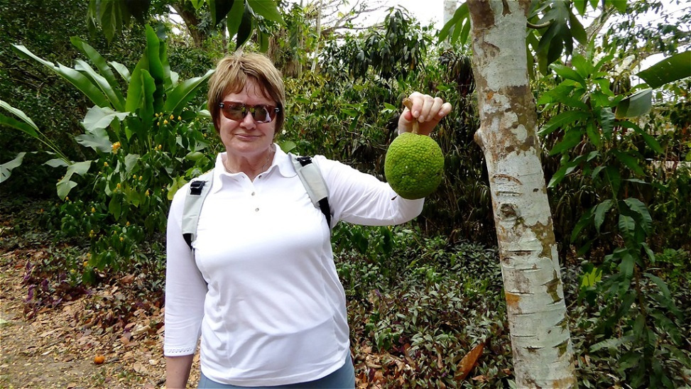 Ich habe eine Frucht gefunden !