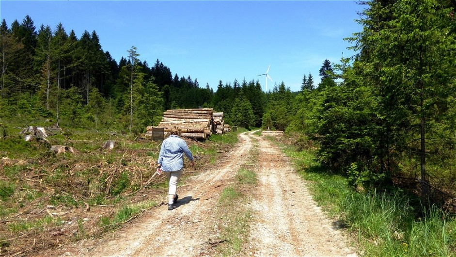 Zurück auf den Steiglberg