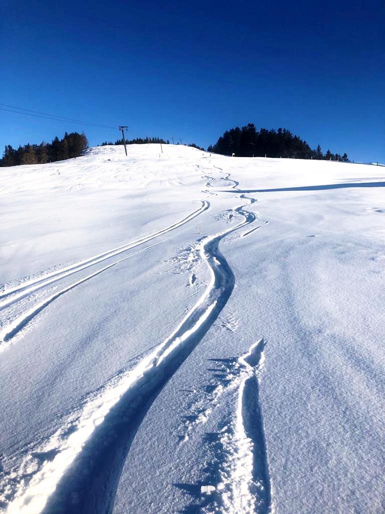 Schöner Pulverschnee