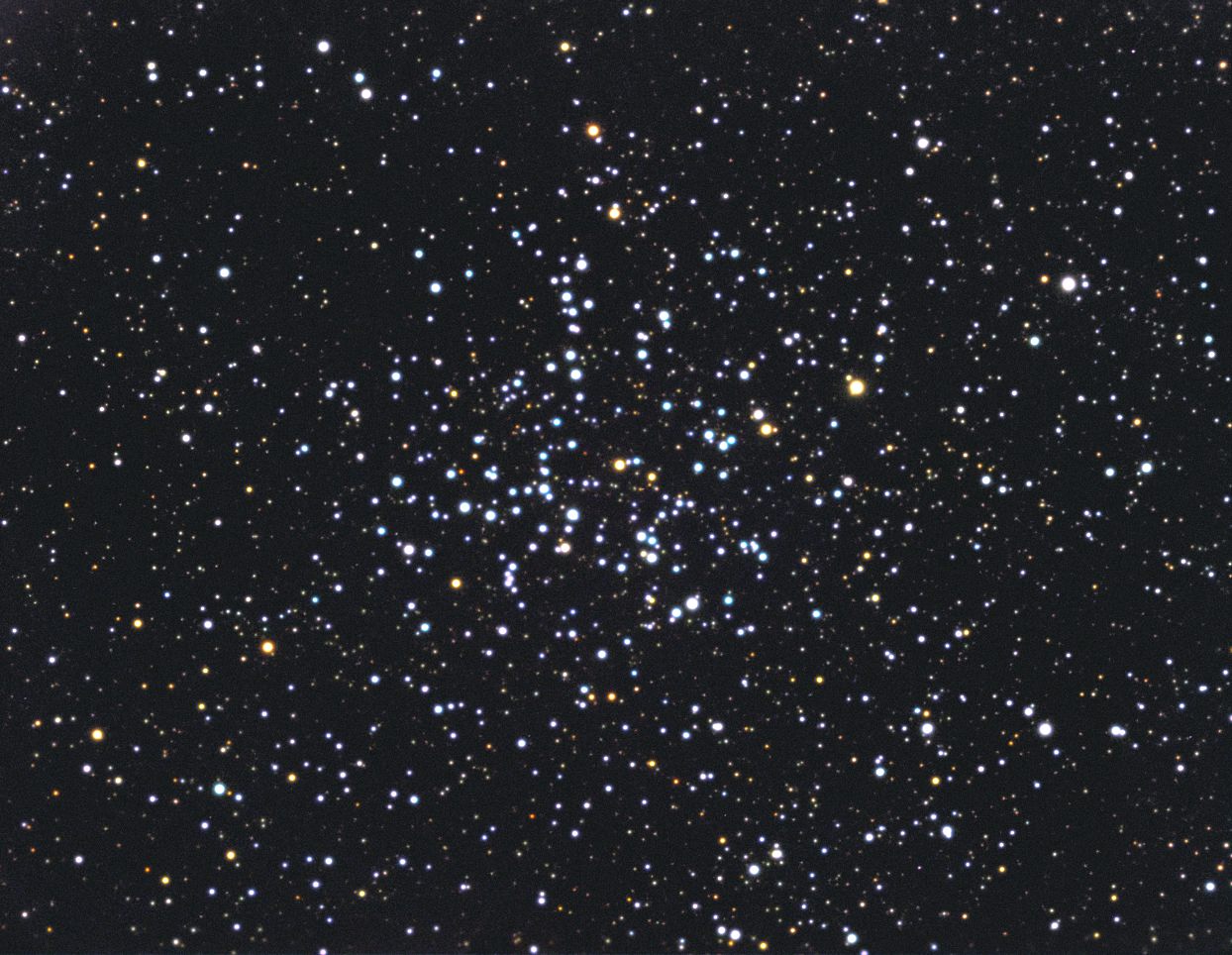 M38
03.2010 SXV-H9 older image