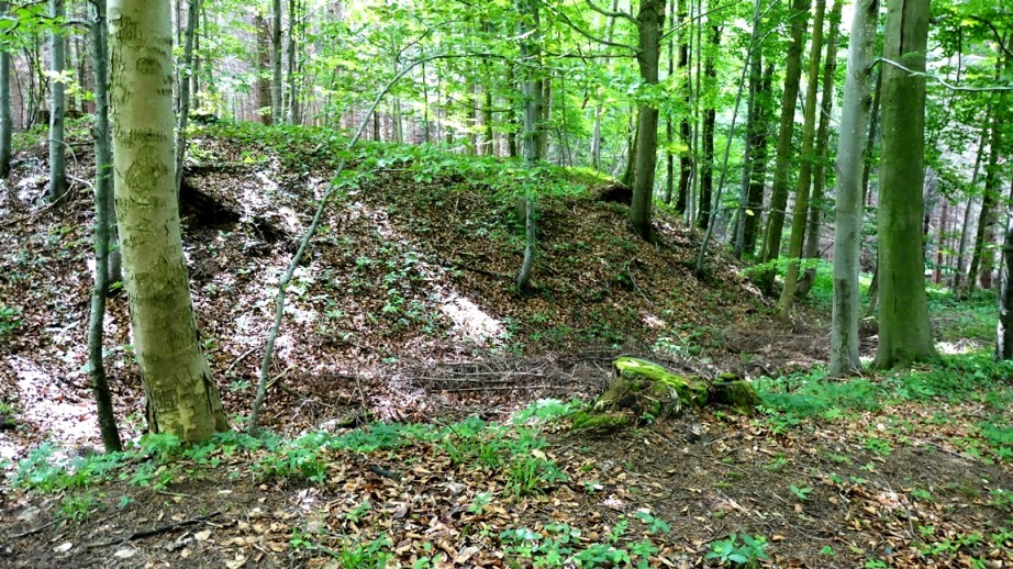 Frontwall der Fliehburg