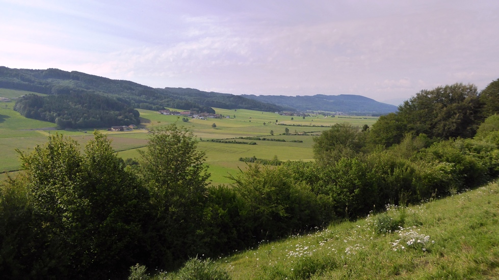 Eitelsberg - Blick auf den Haunsbergrücken