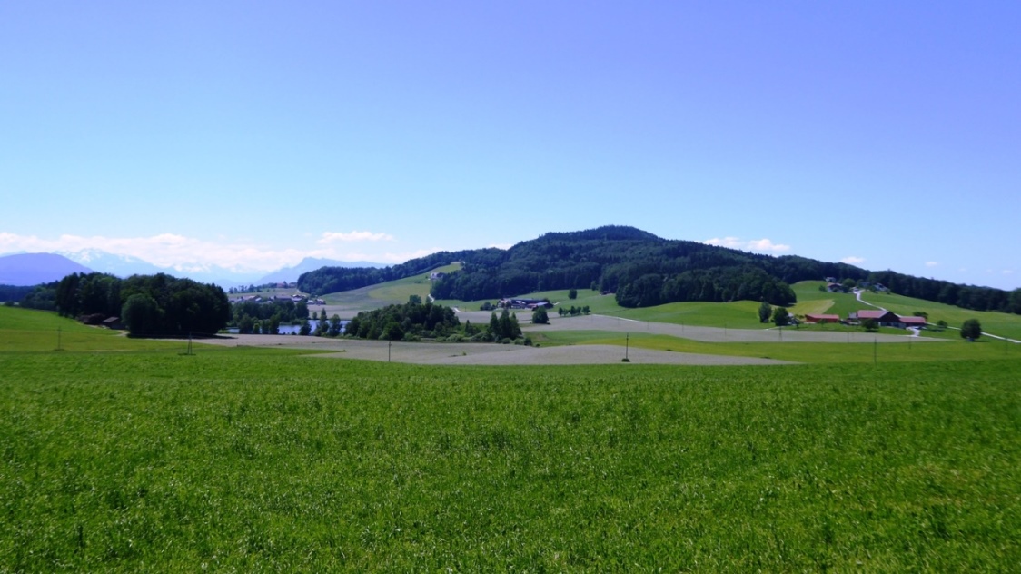 In Obernberg bei Mattsee - Buchberg und Großegelsee