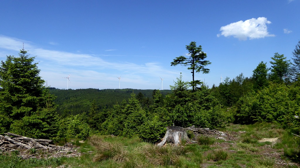 
Der Munderfinger Windpark auf dem gegenüberliegenden Höhenrücken
