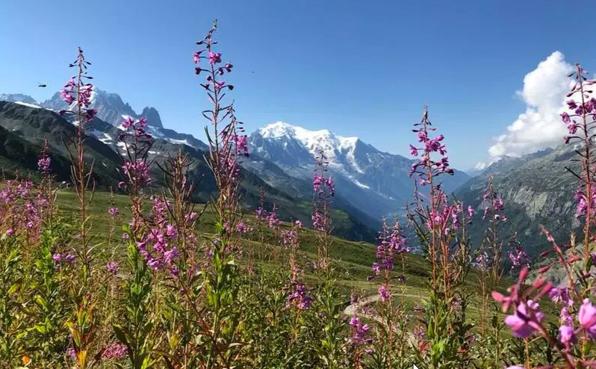Der Mont Blanc grüßt herüber.