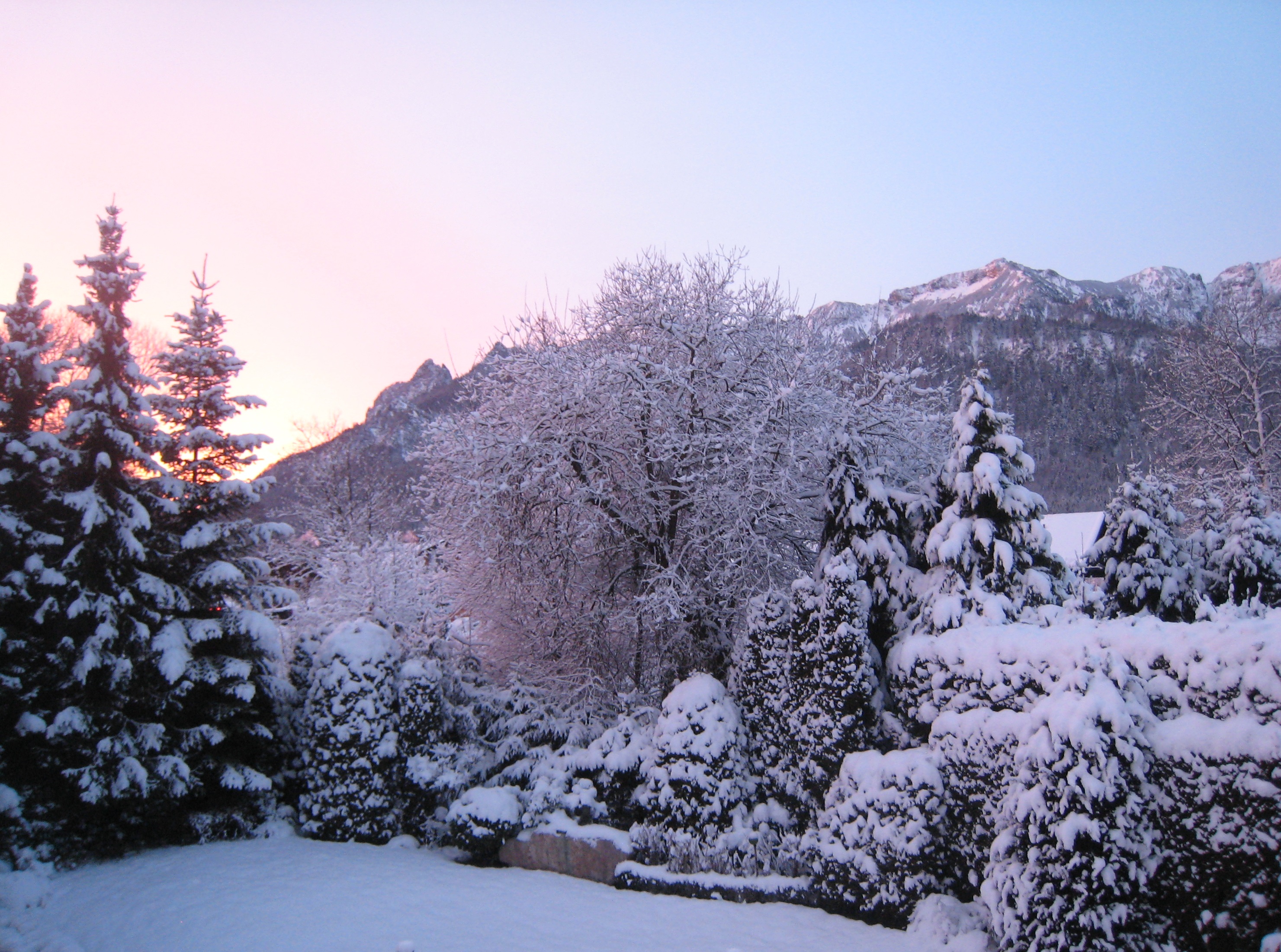 Blick aus dem Fenster 1. Stock