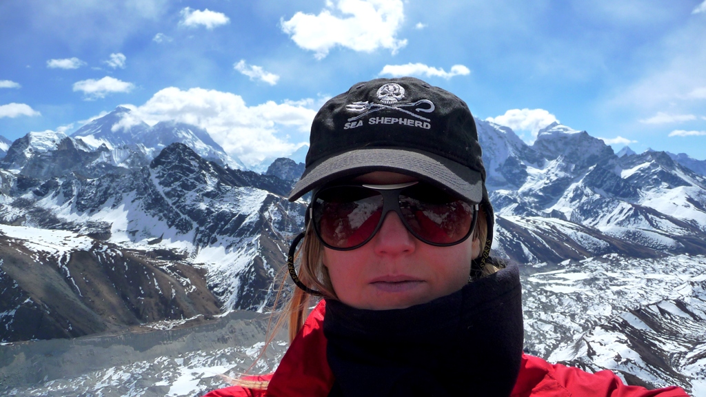 In der Everest Arena