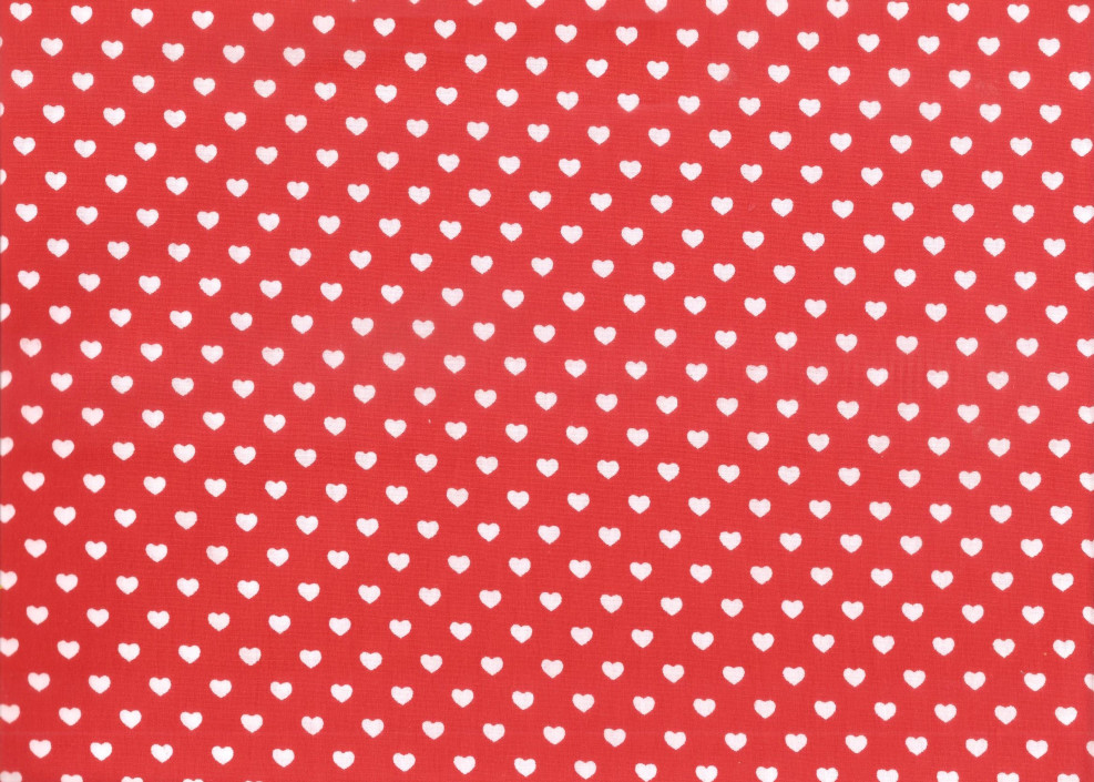 OZNAKA VZORCA:  Ž 889