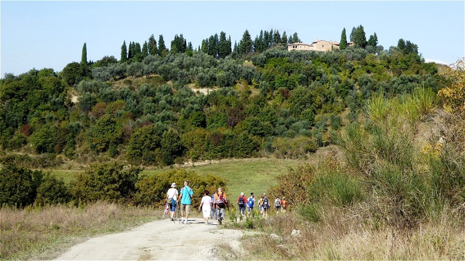Angenehmes Wanderwetter !