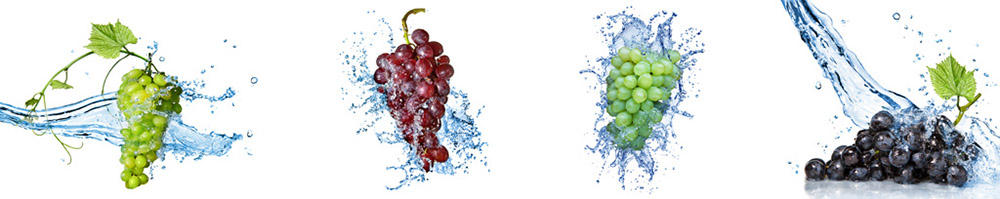 Grozdje in vino_A_003