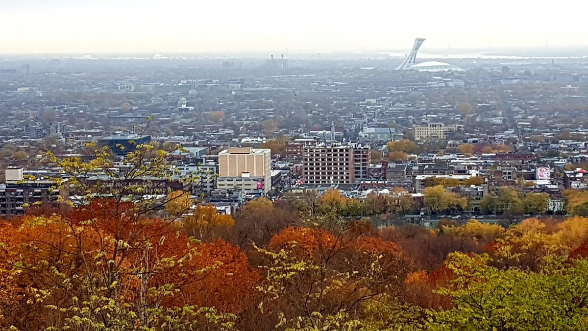 Mont Royal - Blick über's Häusermeer