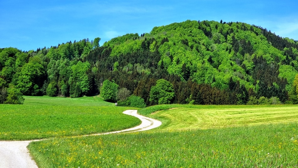 Auffahrt nach Sommerholz