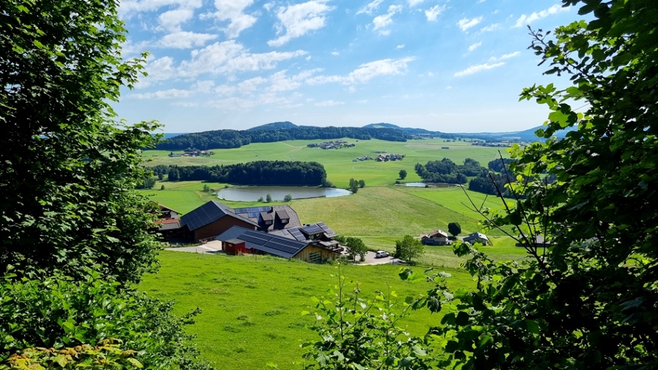 Egelseen-Blick