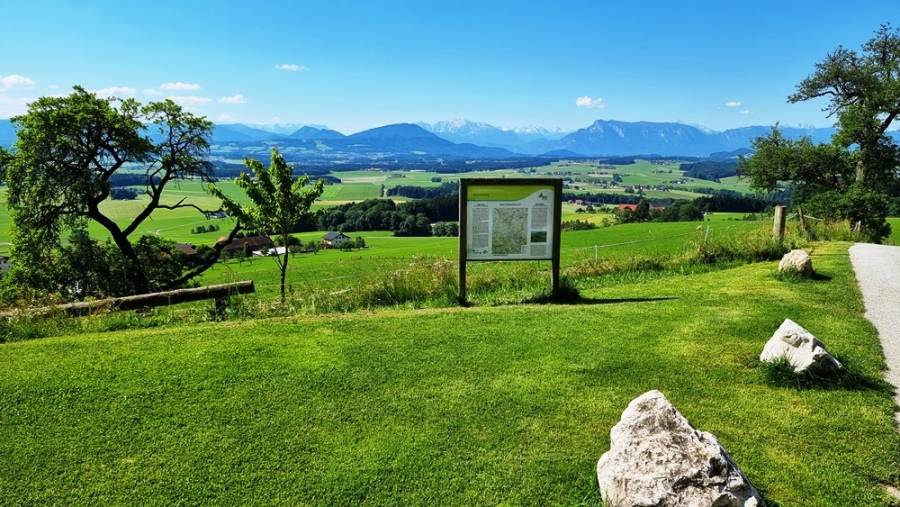 Auf dem Buchberg - Blick nach Süden