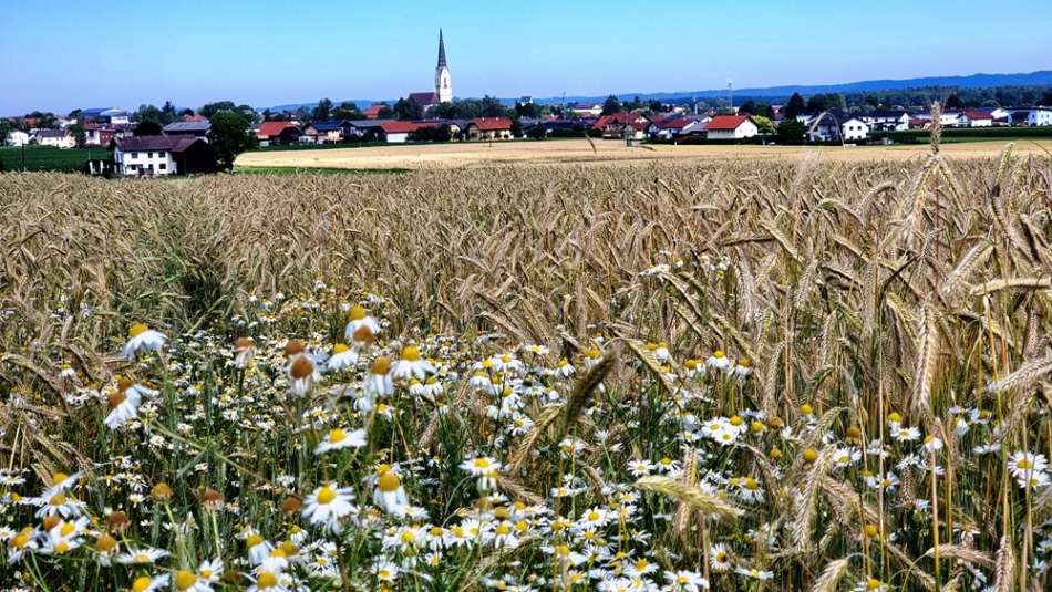 Neukirchen an der Enknach