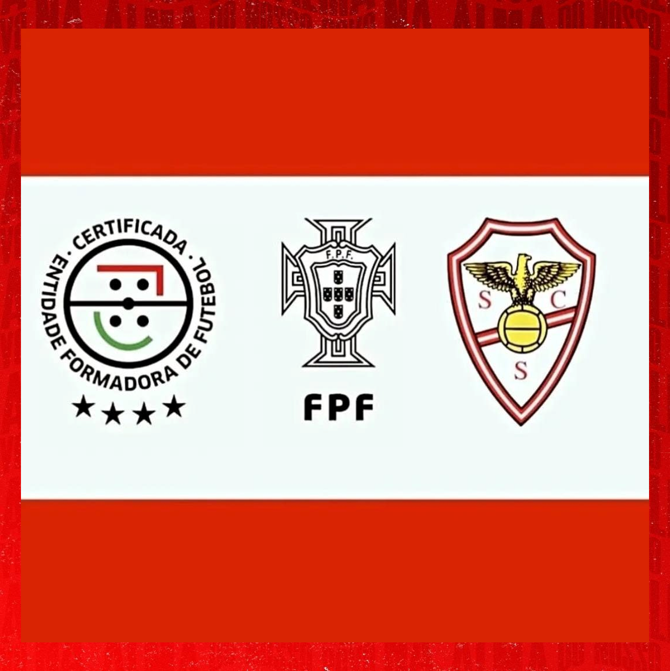 Certificação FPF | Entidade Formadora ( 4 estrelas)
Foi hoje divulgado pela Federação Portuguesa 
de Futebol o resultado do processo de 
certificação para a época 2025/2026. 
O Sport Comércio e Salgueiros em conjunto com 
a SC Salgueiros Futebol Sad mantém a distinção 
de Entidade Formadora 4 Estrelas.
Este é um reconhecimento absolutamente
 indispensável pois é um processo obrigatório 
para inscrição em competições Nacionais de 
formação e seniores.
Agradecemos de forma muito especial a todos os 
que tornam esta distinção possível: dirigentes, 
coordenador, treinadores, atletas, familiares dos 
atletas, sócios, e no fundo, a todos aqueles que 
vivem diariamente o Salgueiros e nos permitem 
continuar a afirmar como a melhor escola de 
Formação a trabalhar exclusivamente na nossa 
cidade do Porto.
De Alma e Coração.
SALGUEIROS 
SALGUEIROS 
SALGUEIROS!!!!