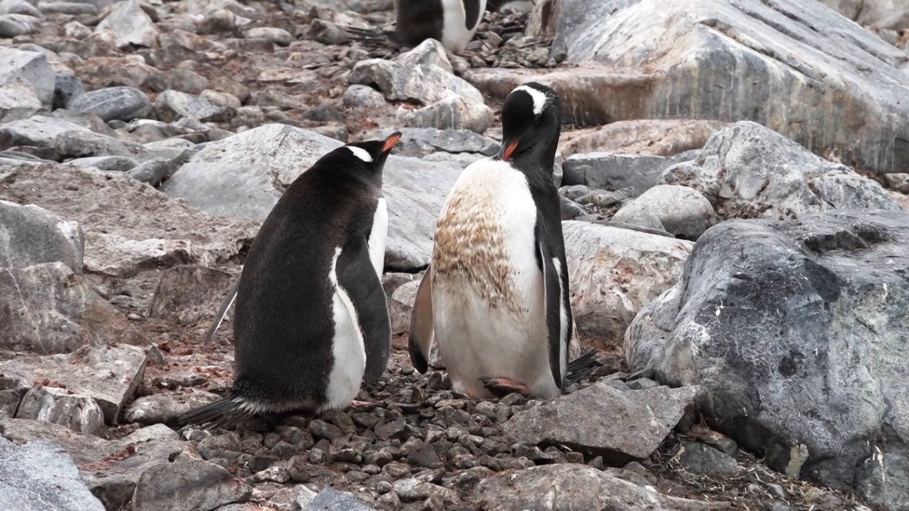 Du solltest dich einmal waschen !