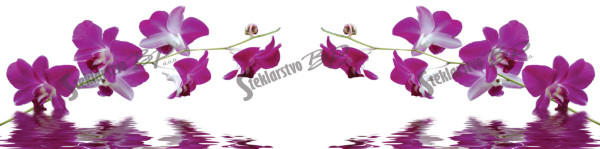 https://0501.nccdn.net/4_2/000/000/038/2d3/31941_1519734410_27_31941.jpg