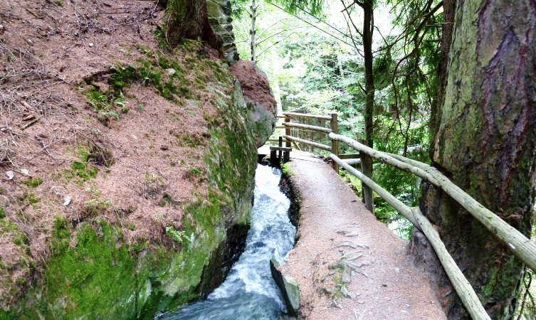 Der Berkwaal begleitet uns wieder ein Stück abwärts
