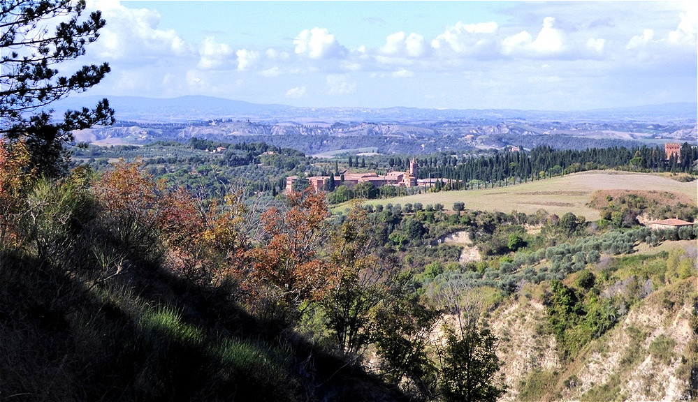Erster Blick auf das Kloster Monte Oliveto Maggiore