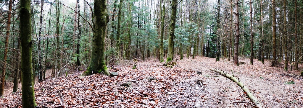 Plateau am höchsten Punkt