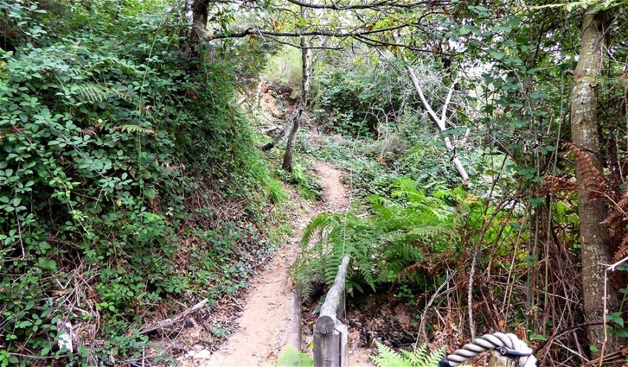 Abstieg nach Sasso Pisano