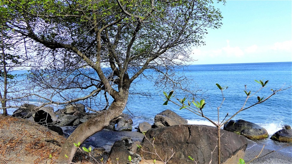 Kurzstopp am felsigen Ufer