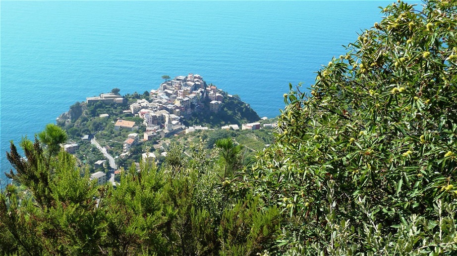 Über Corniglia